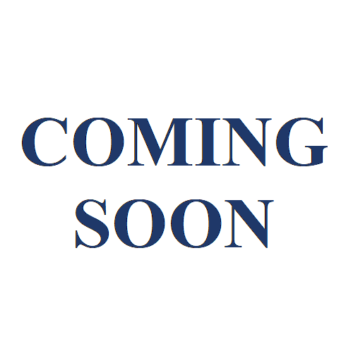 Model 3700V Cast Iron GBV